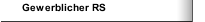 Gewerblicher RS